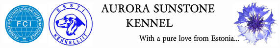 Aurora Sunstone Kennel